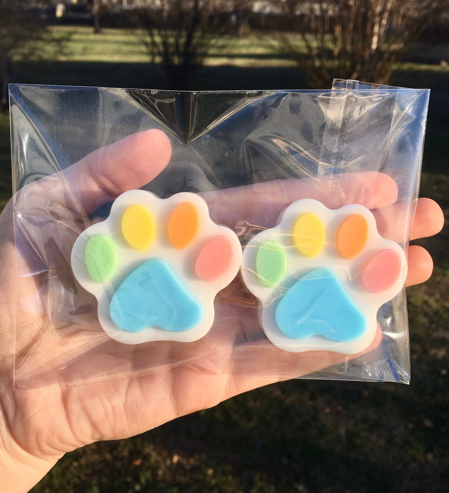 Rainbow Paw Print Soaps